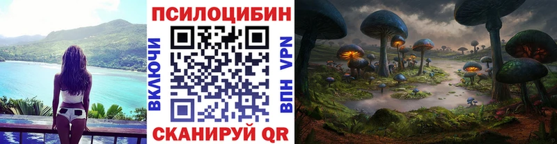 Галлюциногенные грибы Psilocybine cubensis Москва
